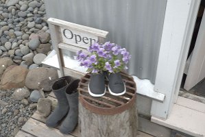 untitled-295