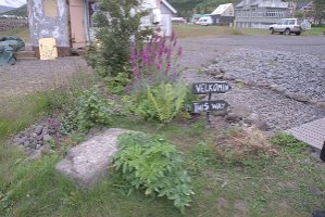 untitled-298