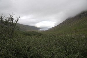 untitled-324