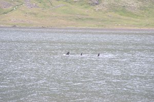untitled-329