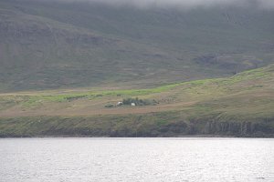 untitled-343