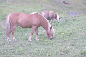 untitled-356
