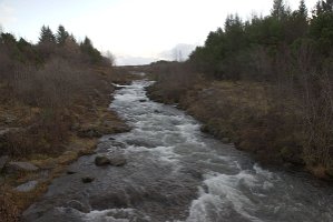 IMGP0665