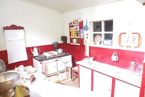 IMGP1584