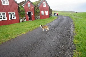 IMGP1598