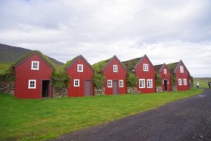 IMGP1614