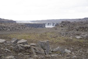 IMGP1761