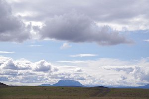 IMGP1769
