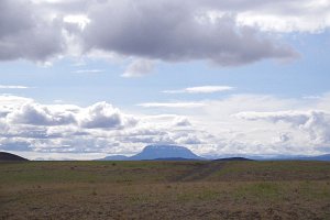 IMGP1773