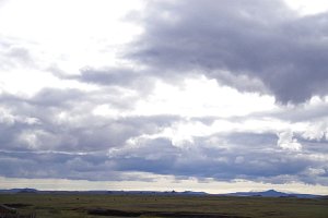 IMGP1785
