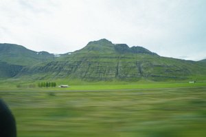 IMGP1807