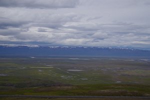 IMGP1835