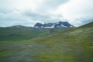 IMGP1841