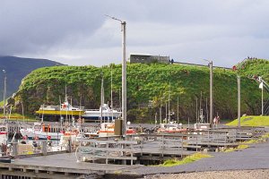 IMGP1930