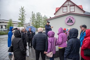 fke_selfoss22-4