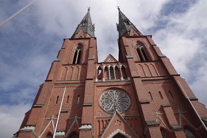 IMGP2492