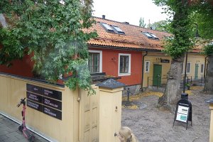 IMGP2513