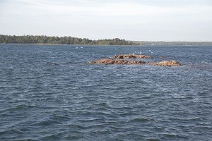IMGP2552
