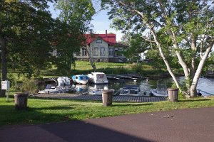 IMGP2575
