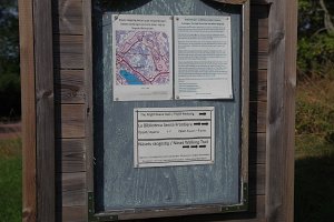 IMGP2617