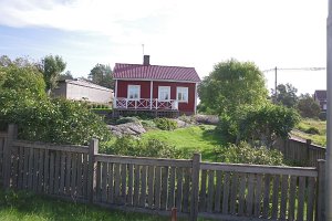 IMGP2645