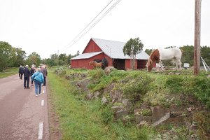 IMGP2804