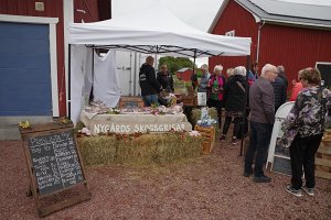 IMGP2814