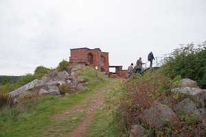 IMGP2842