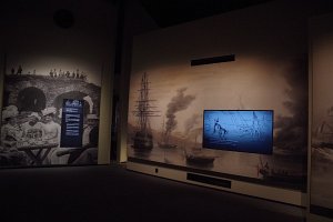 IMGP2880