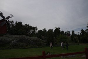 IMGP2893