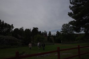 IMGP2894