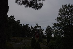 IMGP2895