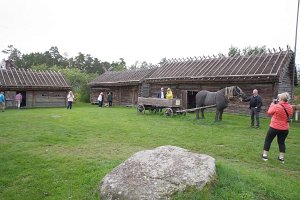 IMGP2898