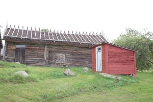 IMGP2915