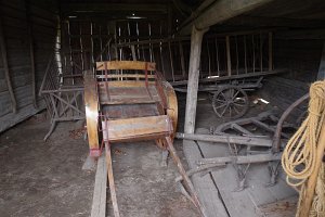 IMGP2917