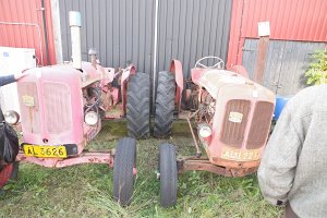 IMGP2949