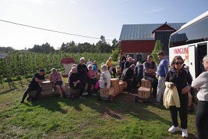IMGP2950