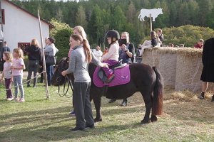 IMGP2963