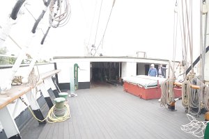 IMGP3031