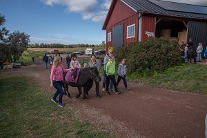 aaland2023-129