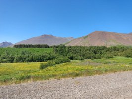 IMG_20230718_135335
