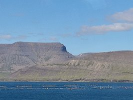 IMG_20230718_154118