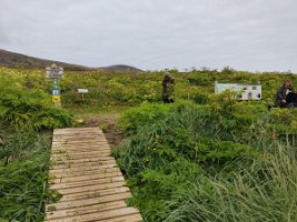 IMG_20230719_094739