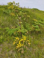 IMG_20230719_095505