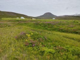 IMG_20230719_095537