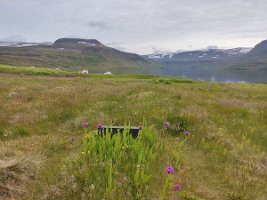 IMG_20230719_095859