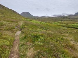 IMG_20230719_101633
