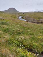 IMG_20230719_102416