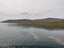 IMG_20230719_115646