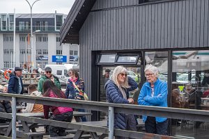 vestmannaeyjar-21